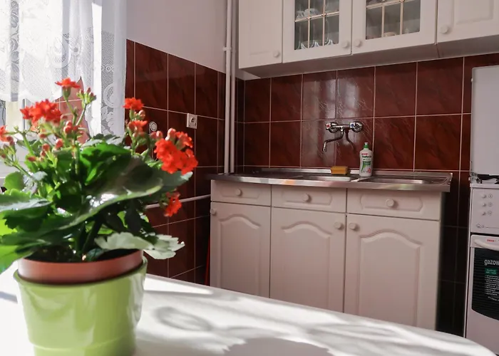 Dom Studencki Labirynt Ostello